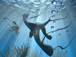 Delphinocean.jpg